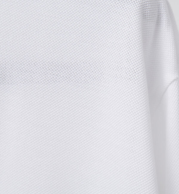 ABAHOUSE「【LACOSTE】ロゴ 長袖ポロシャツ」|ポロシャツ|