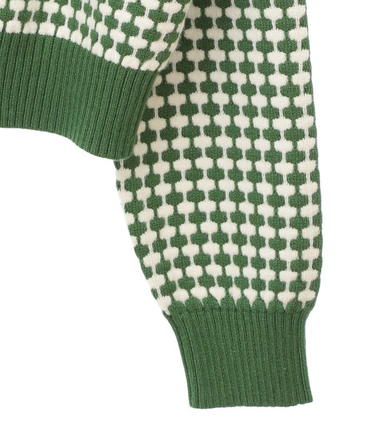 earth music&ecology「ジャガードニットプルオーバー」|ニット・セーター|