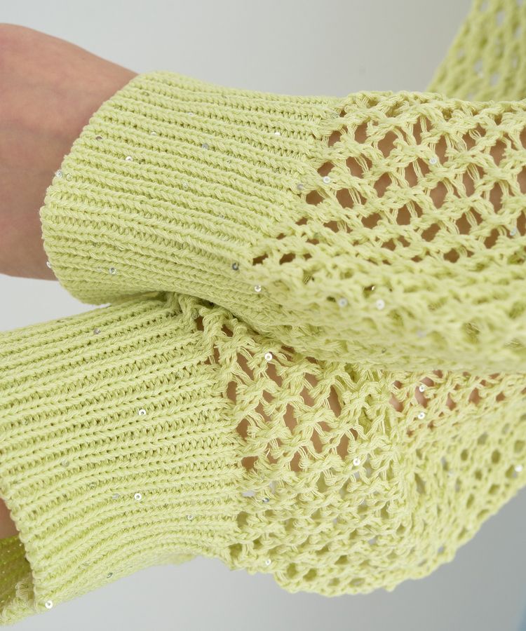 earth music&ecology「スパンコールメッシュニットプルオーバー」|ニット・セーター|