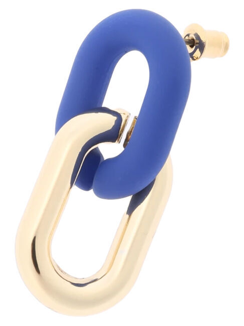  「【WEB限定】バイカラーチェーンピアス」|その他|