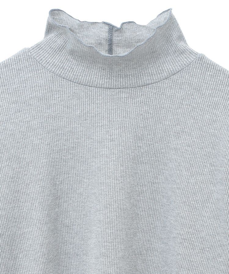 Green Parks「ラメリブタートルプルオーバー」|その他|