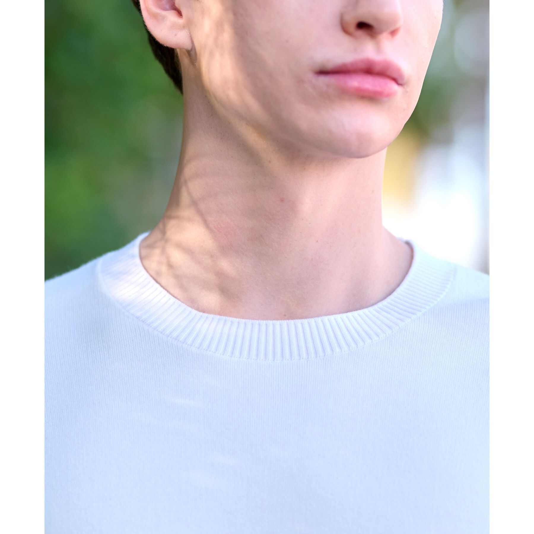 DRESSTERIOR「コットンスムース アームラインクルーネックニット」|ニット・セーター|