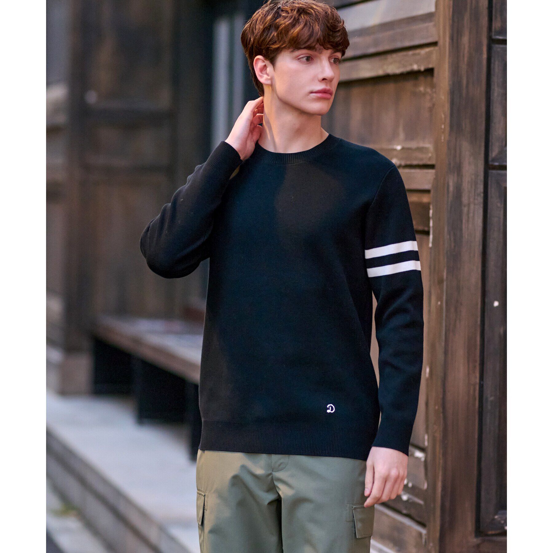 DRESSTERIOR「コットンスムース アームラインクルーネックニット」|ニット・セーター|