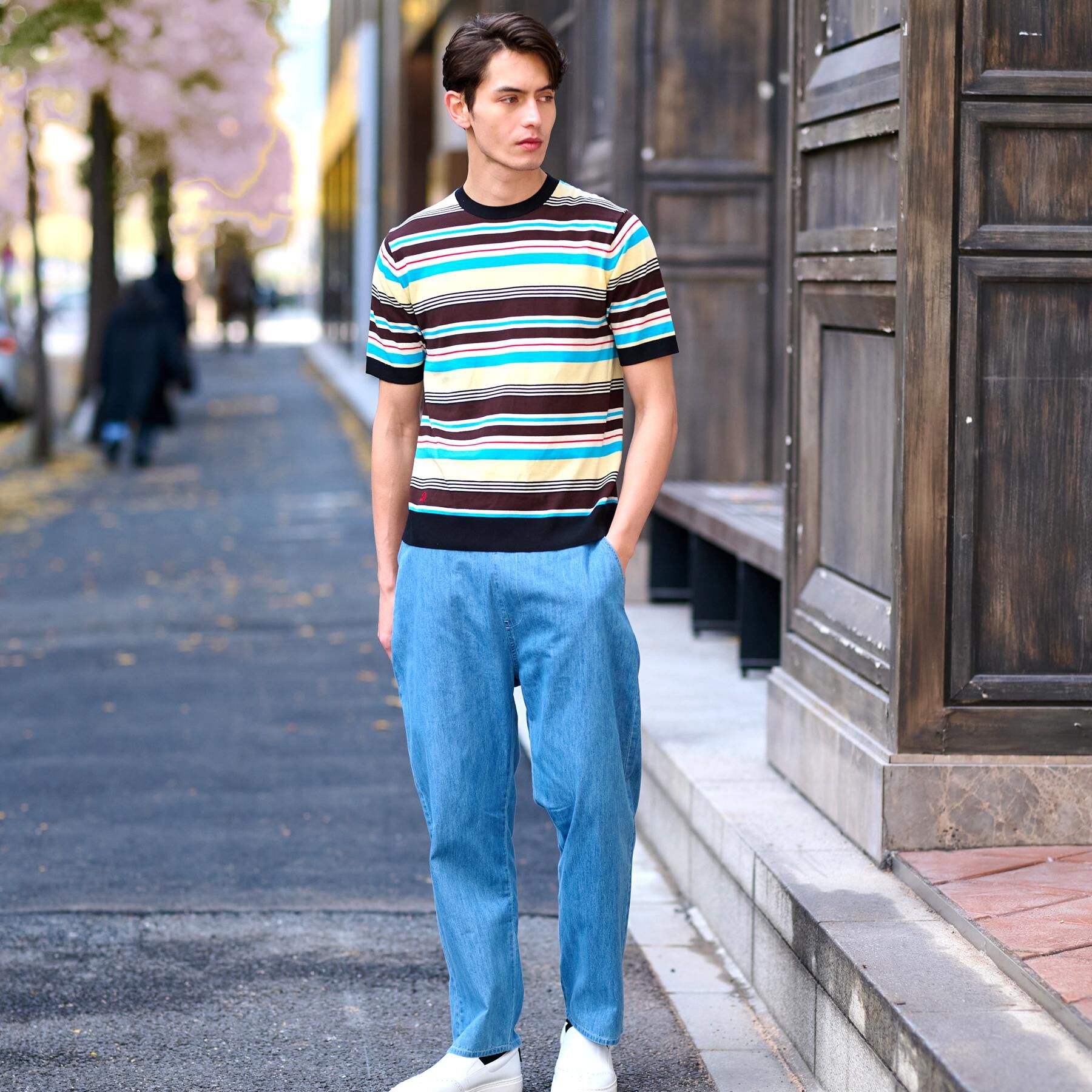 DRESSTERIOR「コットンシルク混 マルチボーダーニット」|ニット・セーター|