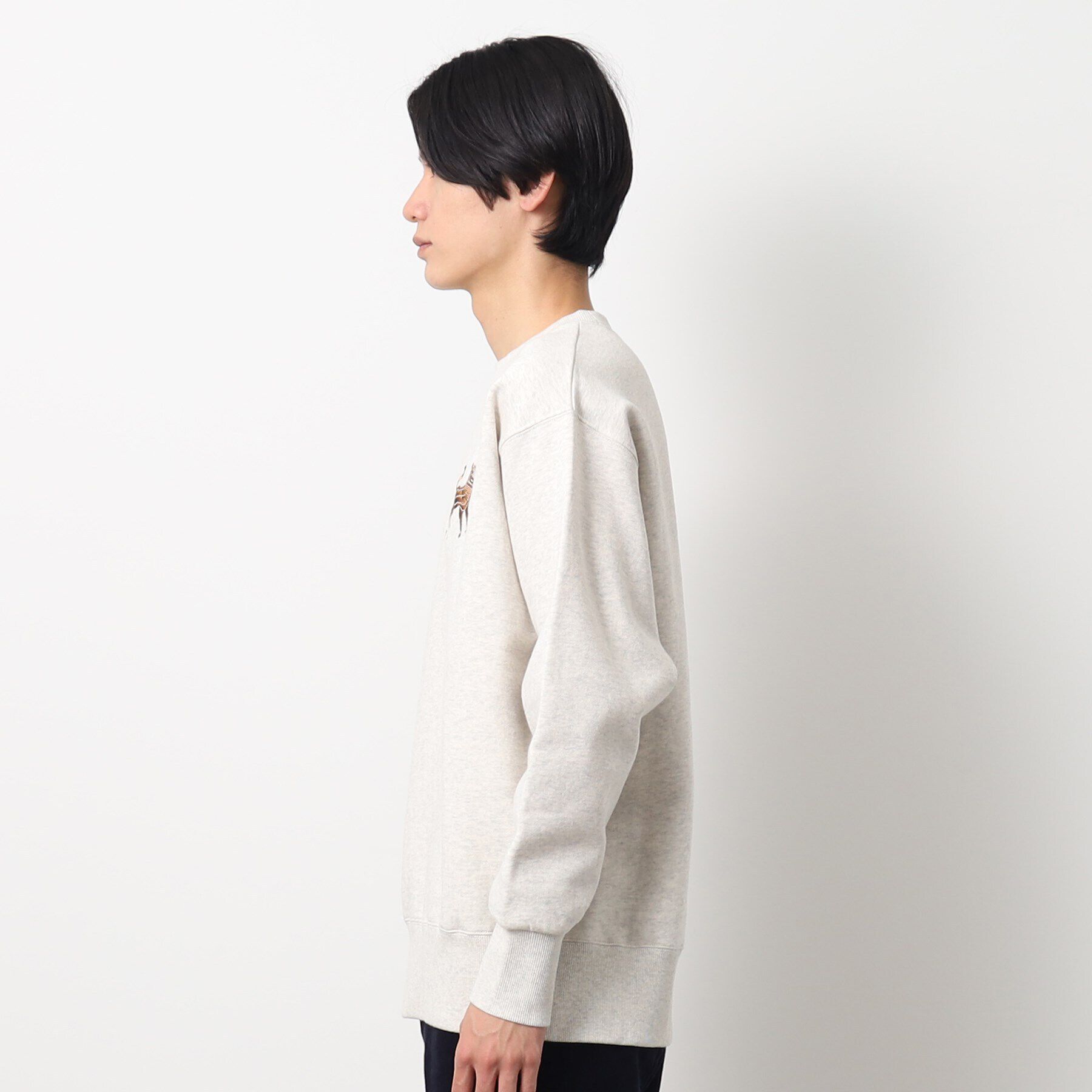 Dessin「【洗える】タイガーワンポイントスウェット」|パーカー|