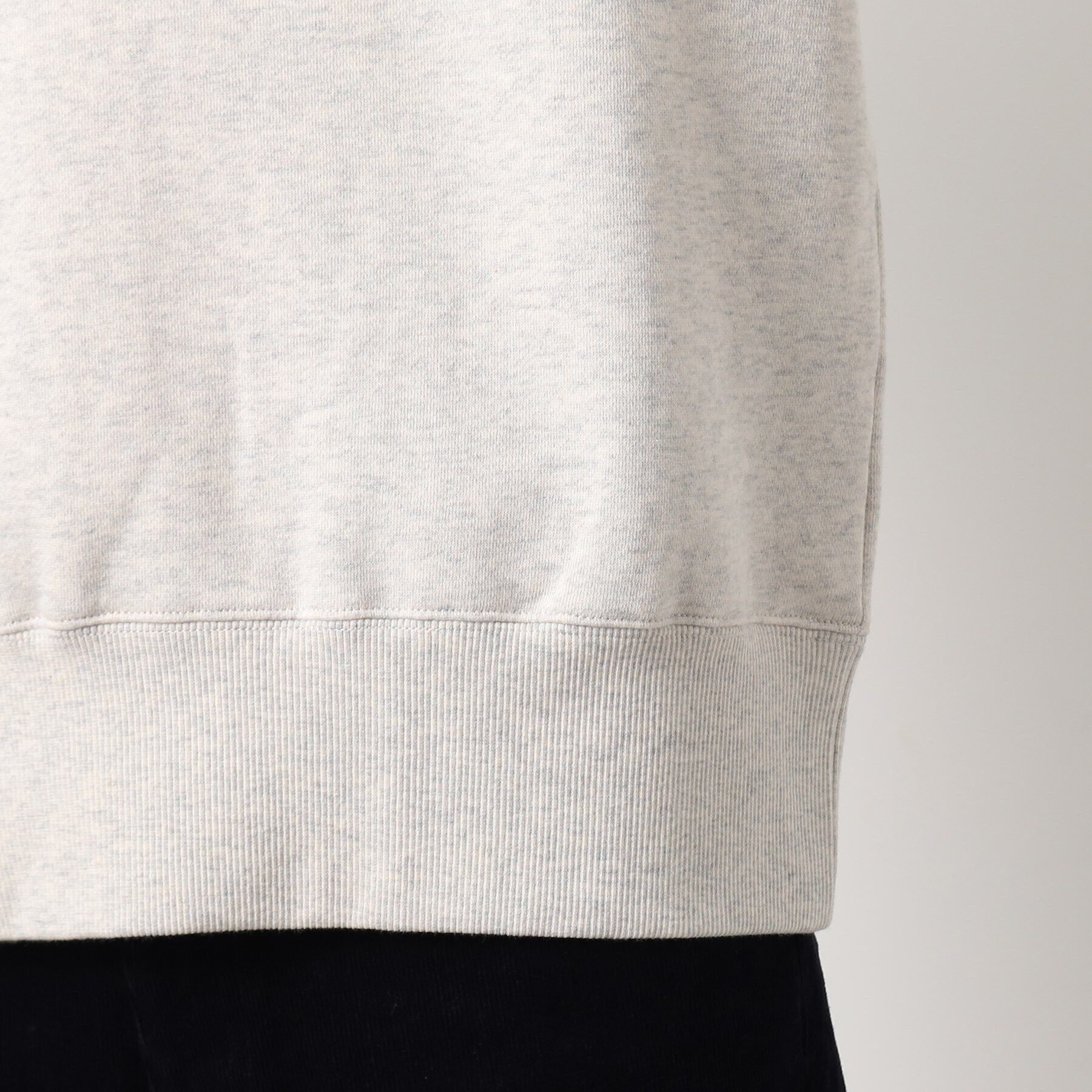 Dessin「【洗える】タイガーワンポイントスウェット」|パーカー|