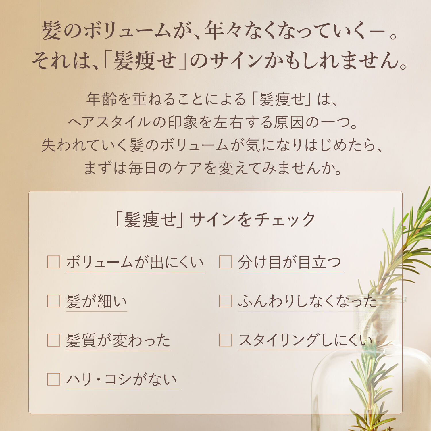 L&rsquo;OCCITANE「ボリューム＆ストレングス シャンプー300mL」|シャンプー|