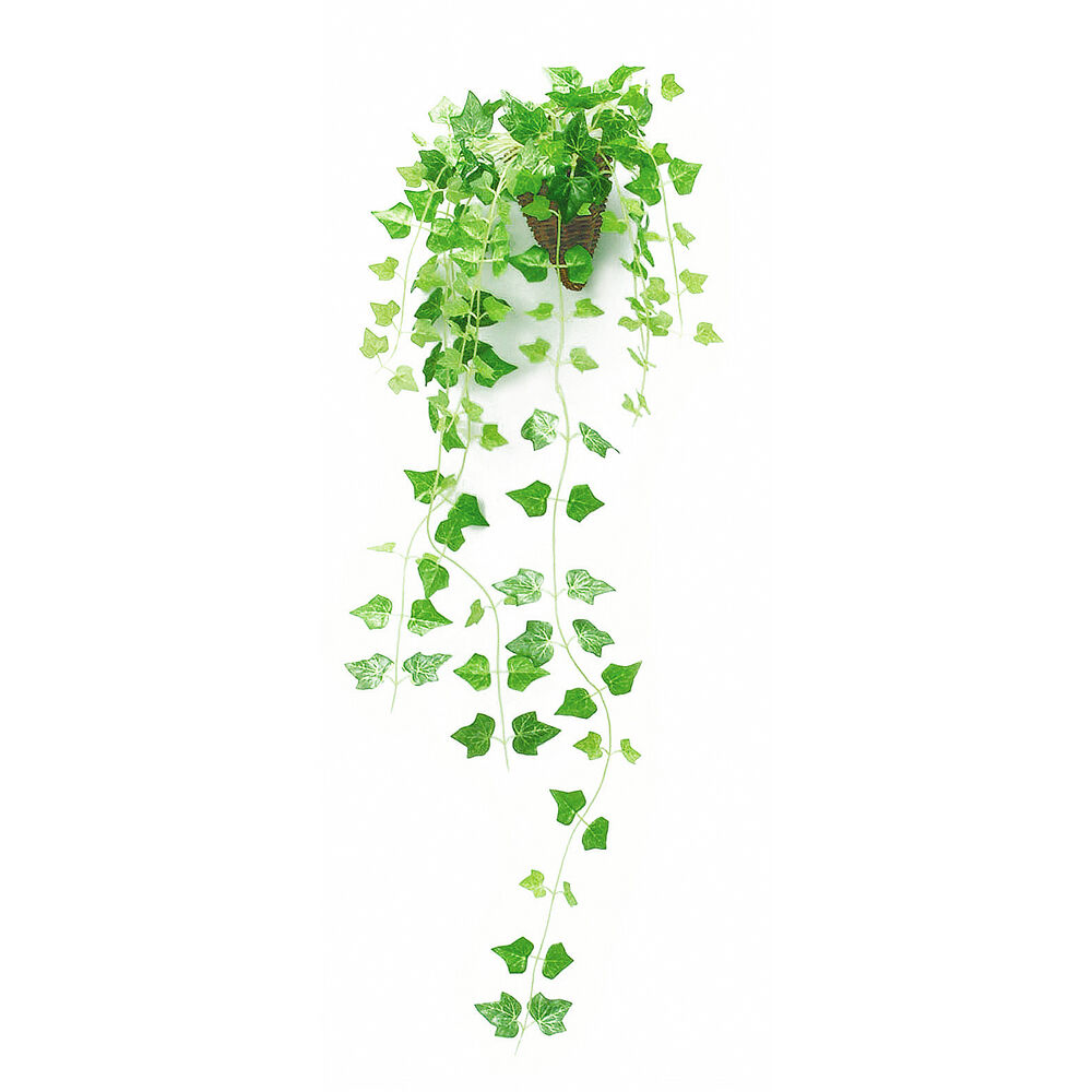 BACKYARD FAMILY「光触媒 観葉植物 通販 フェイクグリーン おしゃれ 壁掛け フェイク 造花 吊り下げ ハンギング」|その他|グリーン1