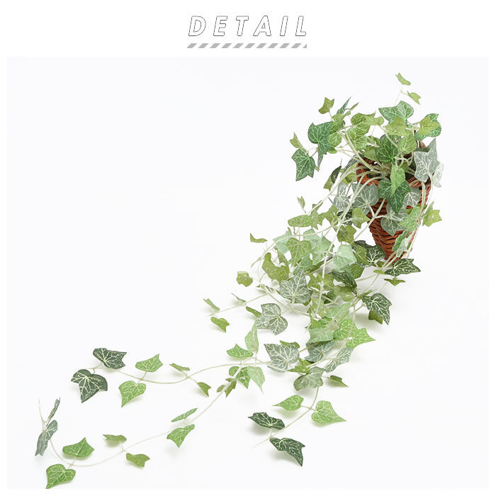 BACKYARD FAMILY「光触媒 観葉植物 通販 フェイクグリーン おしゃれ 壁掛け フェイク 造花 吊り下げ ハンギング」|その他|