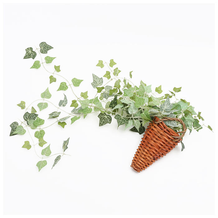 BACKYARD FAMILY「光触媒 観葉植物 通販 フェイクグリーン おしゃれ 壁掛け フェイク 造花 吊り下げ ハンギング」|その他|