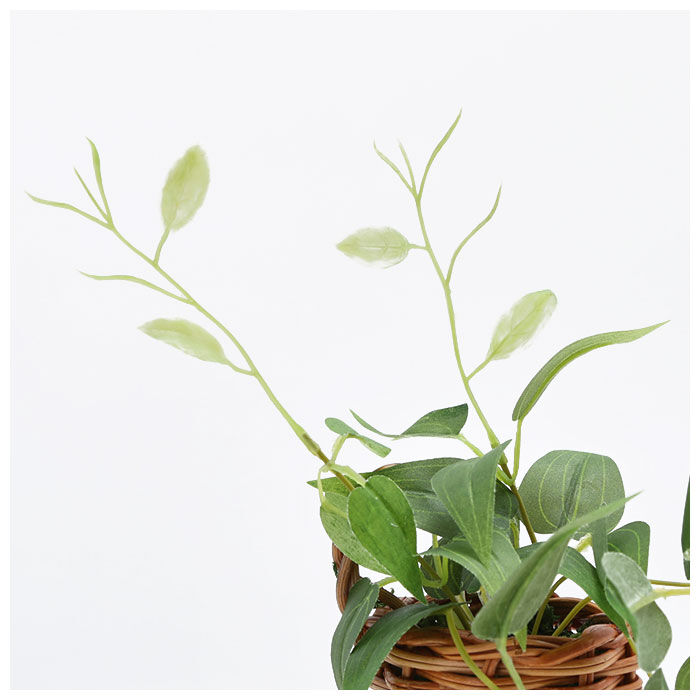 BACKYARD FAMILY「光触媒 観葉植物 通販 フェイクグリーン おしゃれ 壁掛け フェイク 造花 吊り下げ ハンギング」|その他|