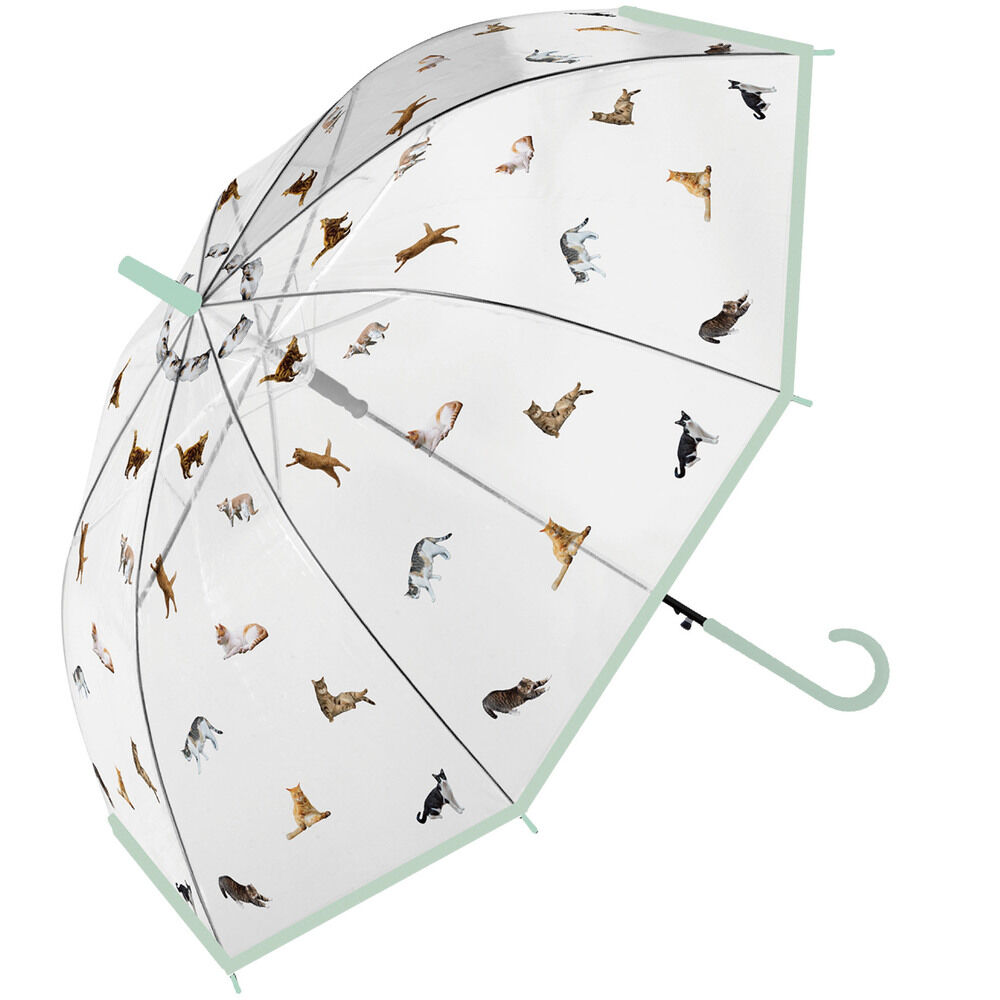 BACKYARD FAMILY「傘 レディース 透明 通販 60cm ビニール傘おしゃれ 雨傘 長傘 ワンタッチ傘 ジャンプ傘」|傘|グリーン2