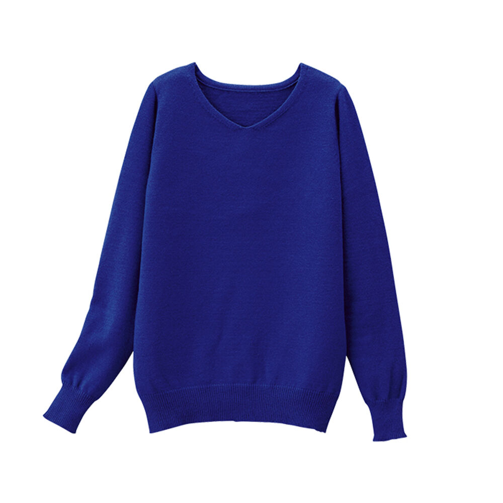 BACKYARD FAMILY「ニット 秋 レディース きれいめ 通販 セーター Vネックセーター プルオーバー 静電気 防止 服」|ニット・セーター|ブルー1