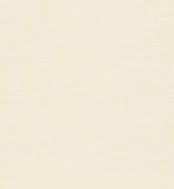 BACCA「テンセルシルク ベーシックTシャツ」|Tシャツ・カットソー|