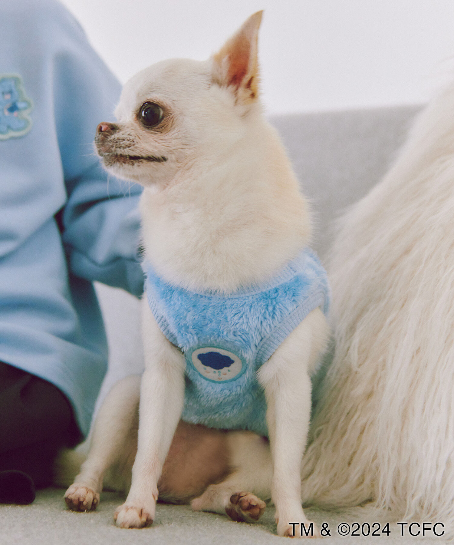 ROPE PICNIC PASSAGE「【Care Bears(ケアベア)&times;ROPE' PICNIC】【DOG】ボアウェアー」|その他|