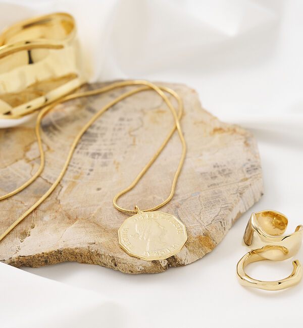 collex「【dignif】【金属アレルギー対応】コインネックレス」|ネックレス|