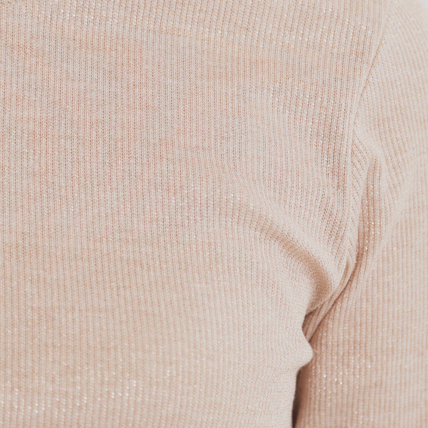 index「ラメリブクルーネックトップス【洗濯機洗い可】」|Tシャツ・カットソー|