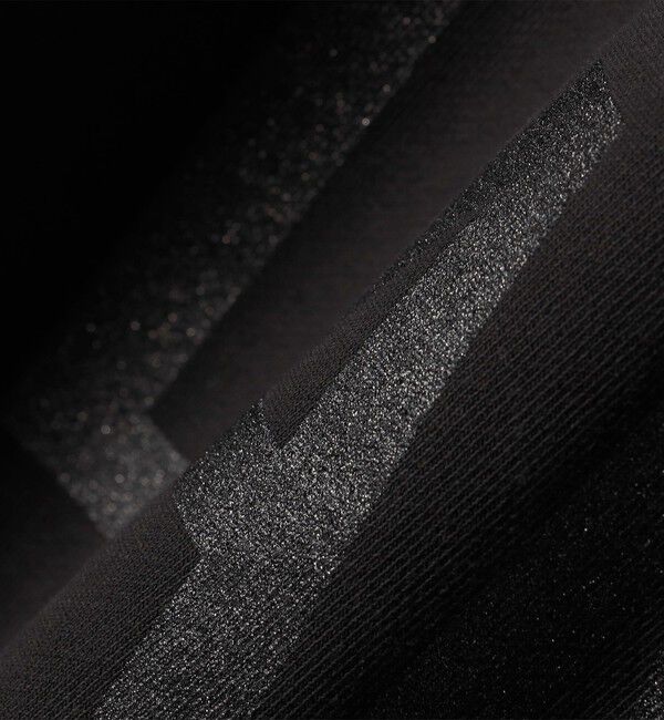 SHIPS for women「【SHIPS別注】Odub:〈手洗い可能〉メタリック ロゴ スウェット 24SS ◇」|スウェット・ジャージ|