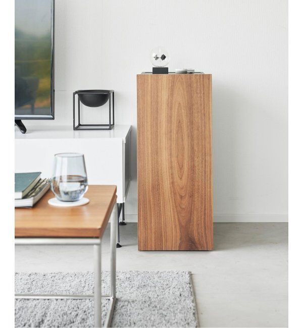 journal standard Furniture「《WEB限定予約》【tower/タワー】ゲーム機収納ラック」|その他|