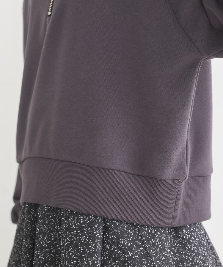 earth music&ecology「チャンピオン　emaeハーフジップ裏毛プルオーバー」|スウェット・ジャージ|