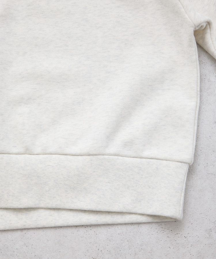 earth music&ecology「チャンピオン　emaeハーフジップ裏毛プルオーバー」|スウェット・ジャージ|