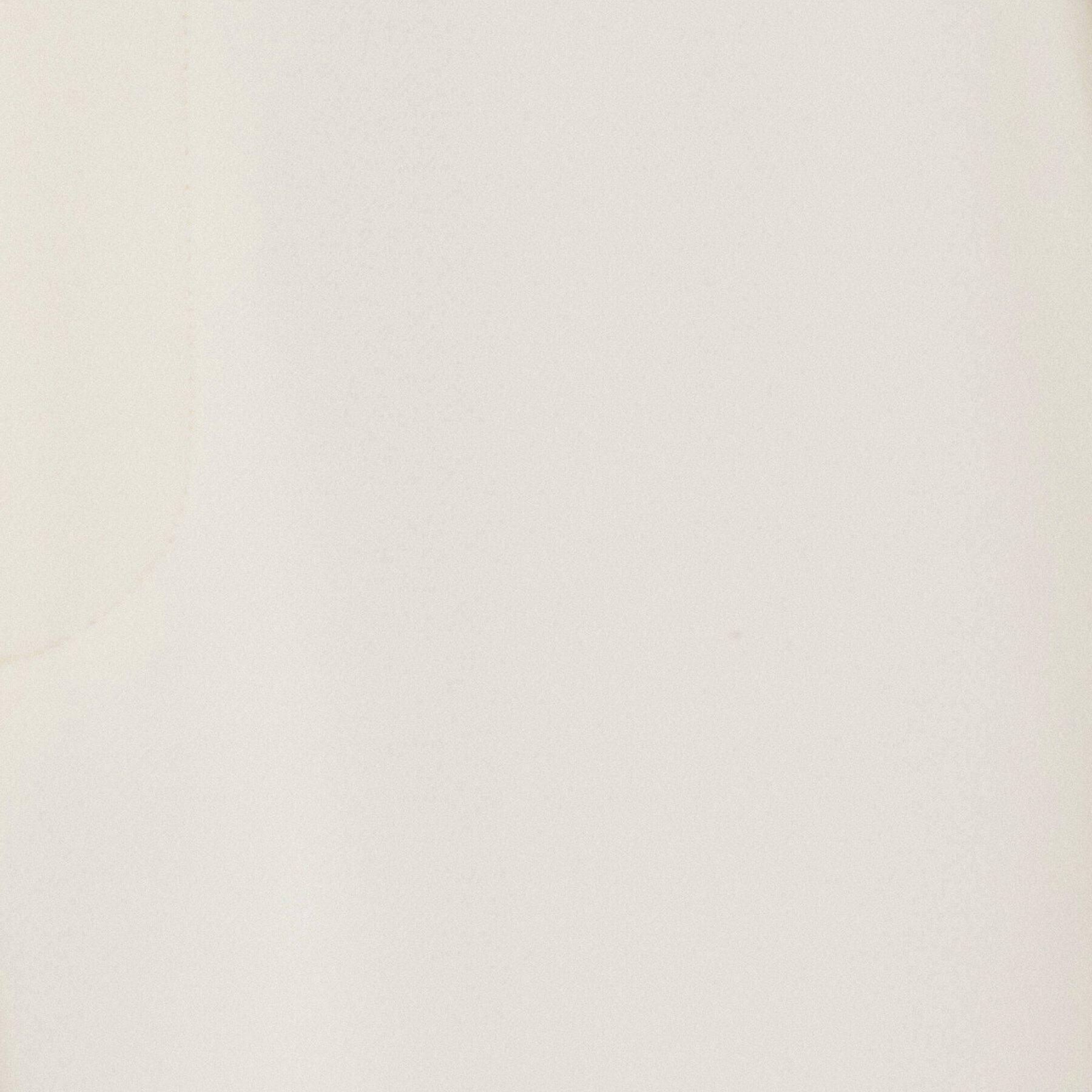 UNTITLED「【裏起毛/後ろウエストゴム/日本製】タックなしテーパードパンツ」|その他|