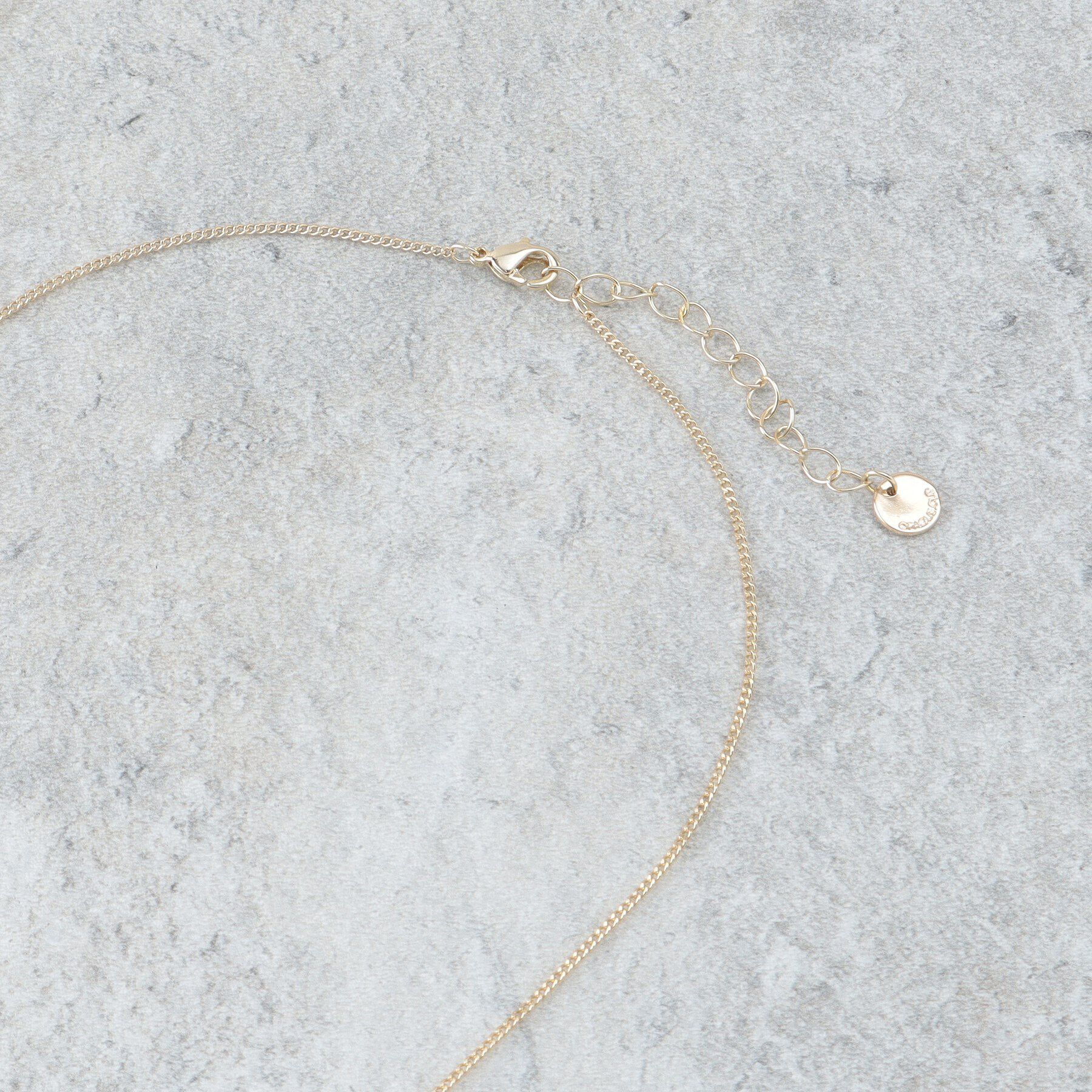 OPAQUE.CLIP「メタル&times;クリアリングネックレス」|ネックレス|