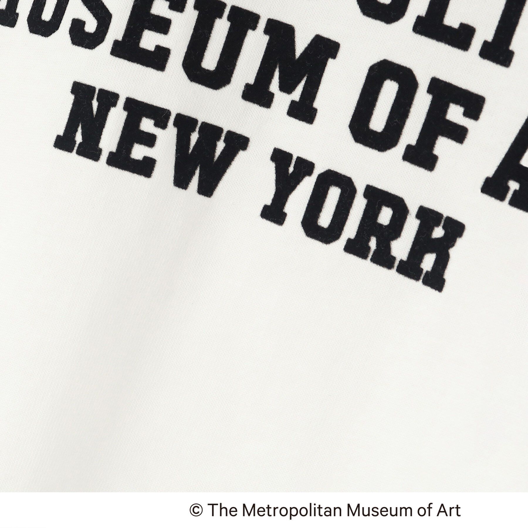 Dessin「【THE　MET】コラボTシャツ」|Tシャツ・カットソー|