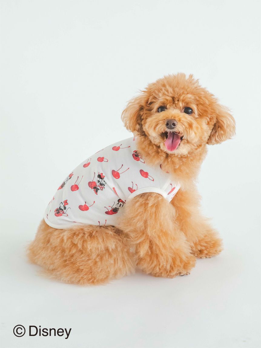  GELATO PIQUE CAT&DOG「【CAT&DOG】【販路限定商品】Minnie/COOLプルオーバー」|その他|