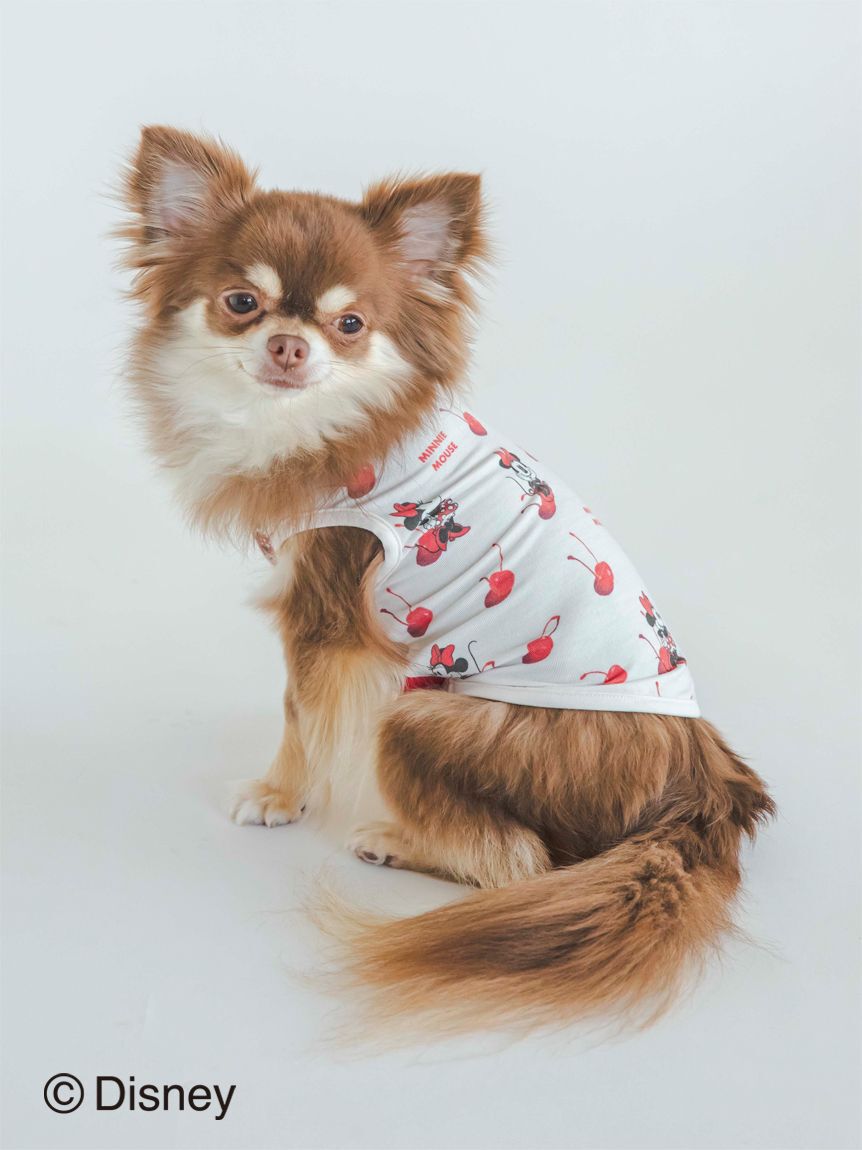  GELATO PIQUE CAT&DOG「【CAT&DOG】【販路限定商品】Minnie/COOLプルオーバー」|その他|