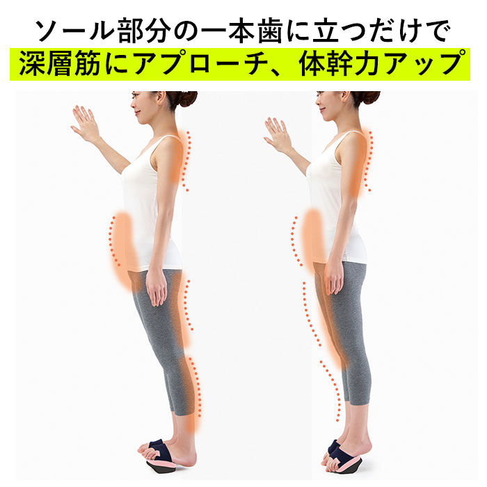 BACKYARD FAMILY「体幹 スリッパ 通販 ソールバランス コロン 体幹トレーニング アルファックス バランス」|フットケア|