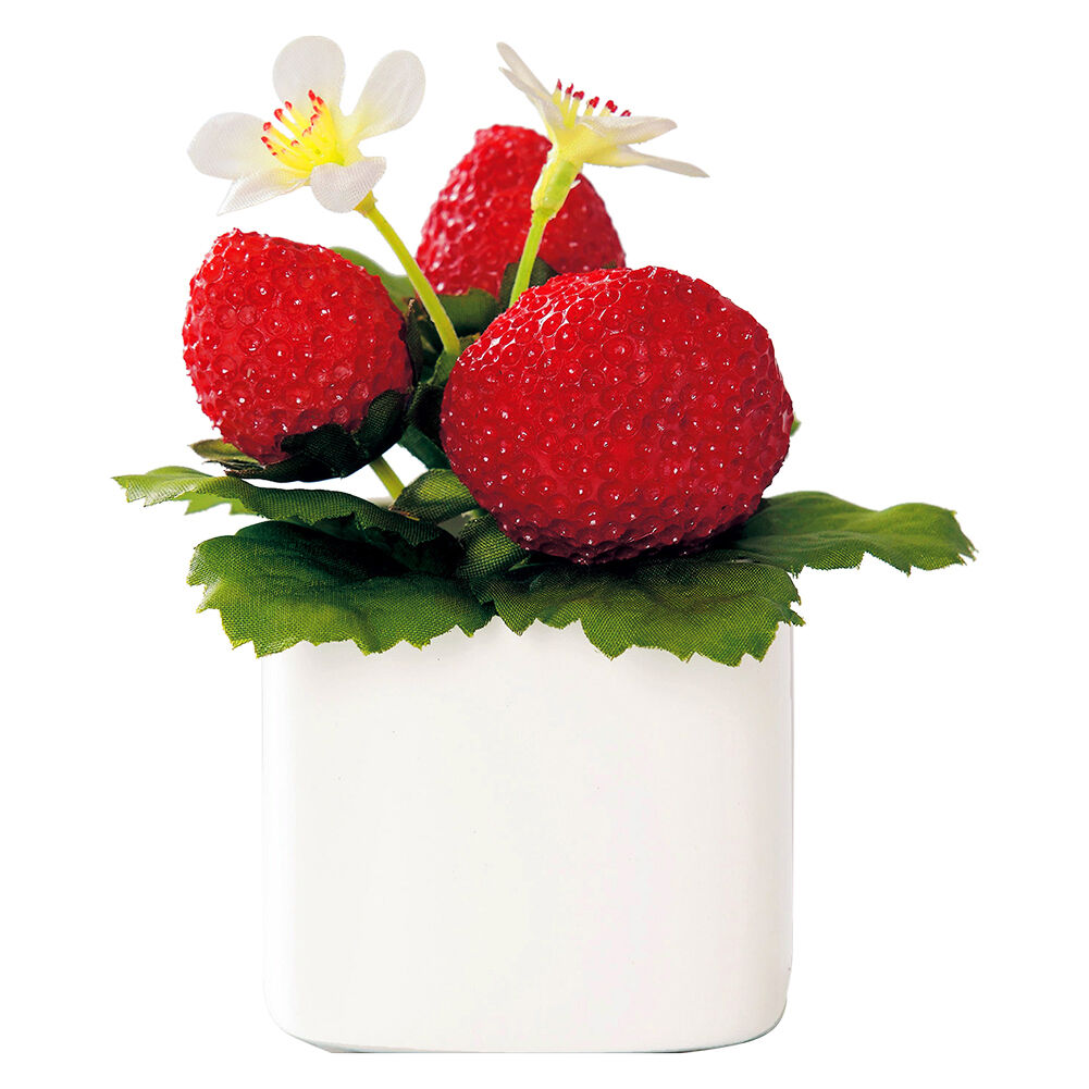 BACKYARD FAMILY「光触媒 観葉植物 通販 フェイクグリーン ミニ インテリアグリーン リアル 小さめ おしゃれ」|その他|レッド2