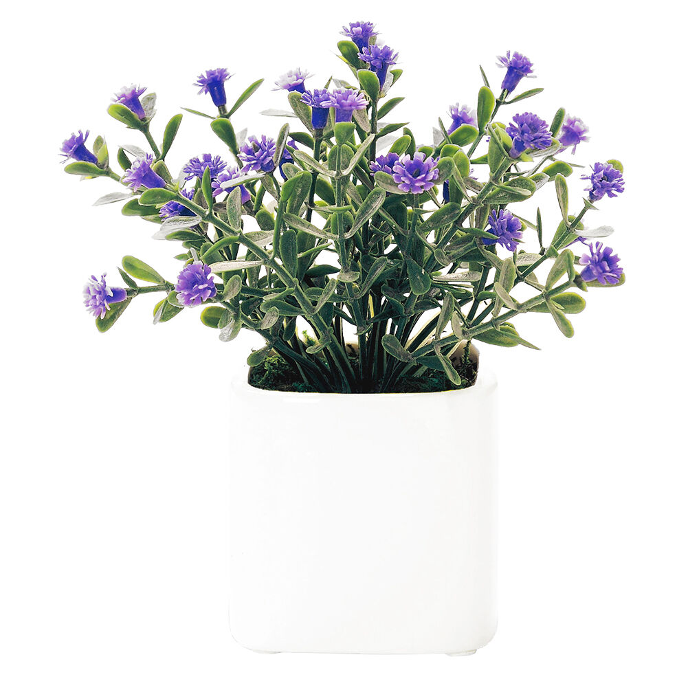 BACKYARD FAMILY「光触媒 観葉植物 通販 フェイクグリーン ミニ インテリアグリーン リアル 小さめ おしゃれ」|その他|パープル1