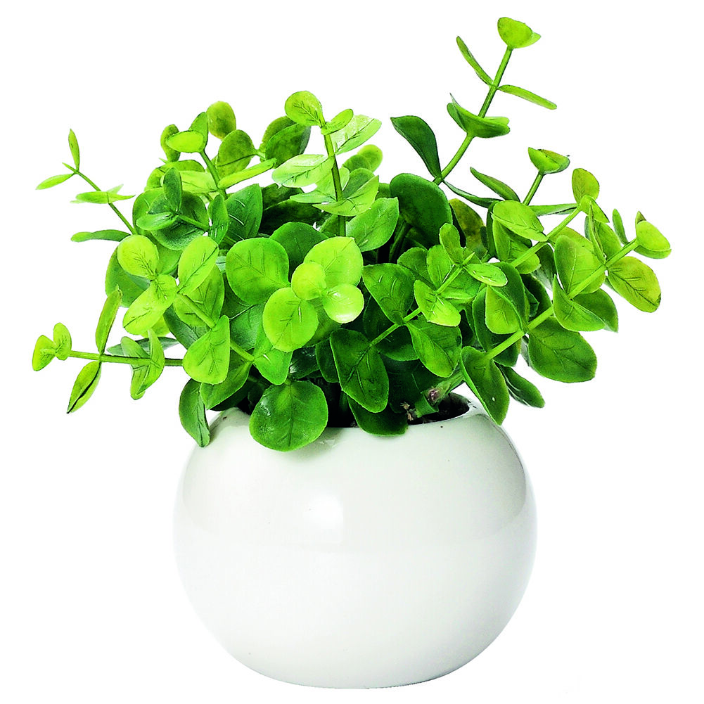 BACKYARD FAMILY「光触媒 観葉植物 通販 フェイクグリーン ミニ インテリアグリーン リアル 小さめ おしゃれ」|その他|グリーン1