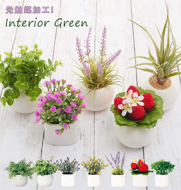 BACKYARD FAMILY「光触媒 観葉植物 通販 フェイクグリーン ミニ インテリアグリーン リアル 小さめ おしゃれ」|その他|