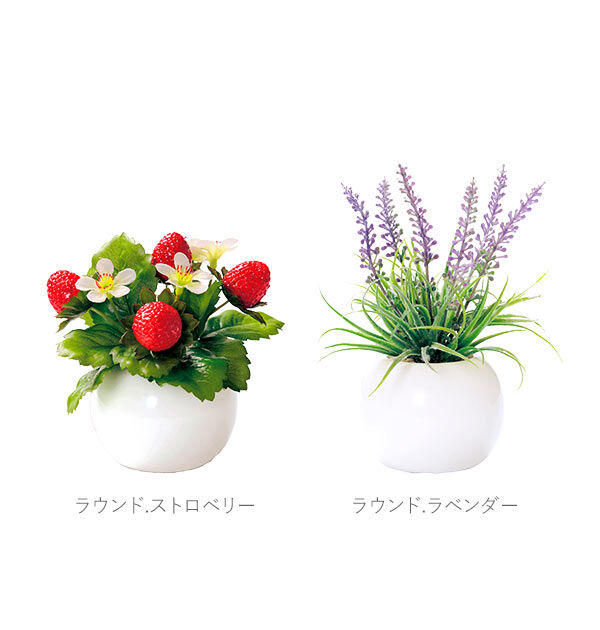 BACKYARD FAMILY「光触媒 観葉植物 通販 フェイクグリーン ミニ インテリアグリーン リアル 小さめ おしゃれ」|その他|