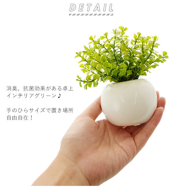 BACKYARD FAMILY「光触媒 観葉植物 通販 フェイクグリーン ミニ インテリアグリーン リアル 小さめ おしゃれ」|その他|