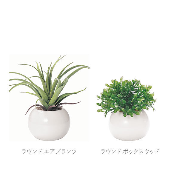 BACKYARD FAMILY「光触媒 観葉植物 通販 フェイクグリーン ミニ インテリアグリーン リアル 小さめ おしゃれ」|その他|