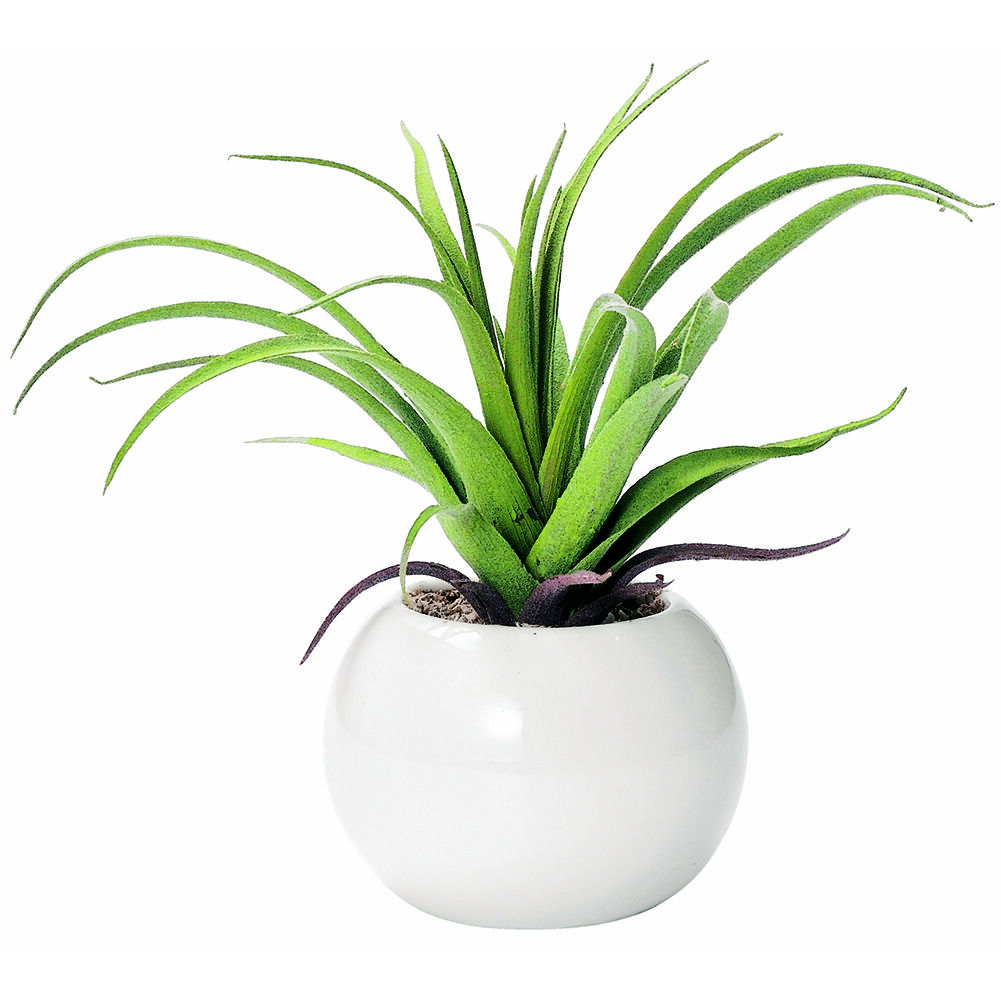 BACKYARD FAMILY「光触媒 観葉植物 通販 フェイクグリーン ミニ インテリアグリーン リアル 小さめ おしゃれ」|その他|グリーン3