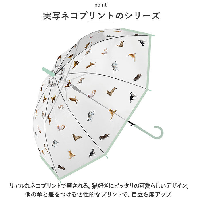 BACKYARD FAMILY「傘 レディース 透明 通販 60cm ビニール傘おしゃれ 雨傘 長傘 ワンタッチ傘 ジャンプ傘」|傘|