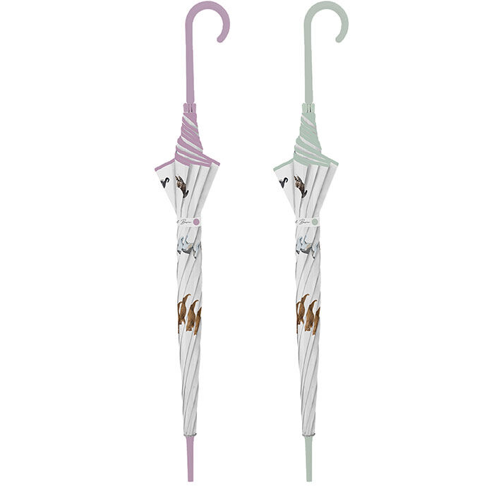 BACKYARD FAMILY「傘 レディース 透明 通販 60cm ビニール傘おしゃれ 雨傘 長傘 ワンタッチ傘 ジャンプ傘」|傘|