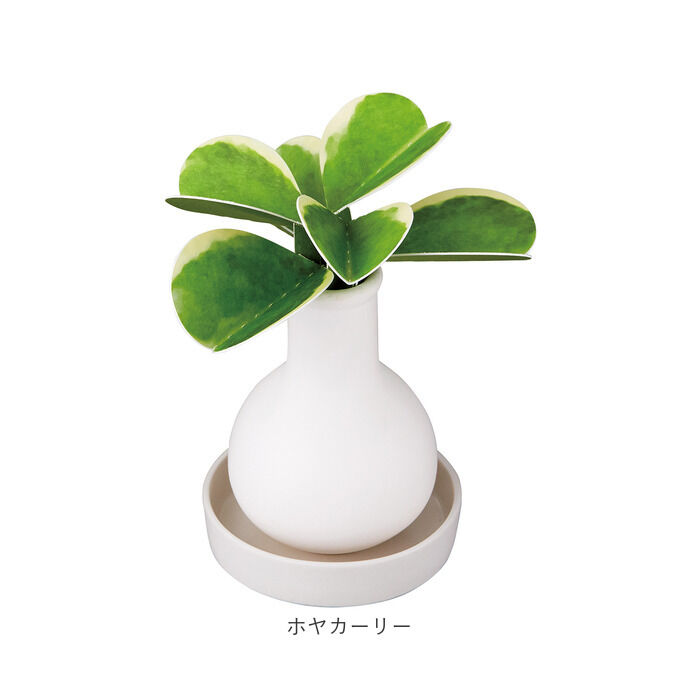 BACKYARD FAMILY「自然気化式 加湿器 かわいい 通販 卓上 気化式加湿器 小型 観葉植物 フェイクグリーン」|電化製品|