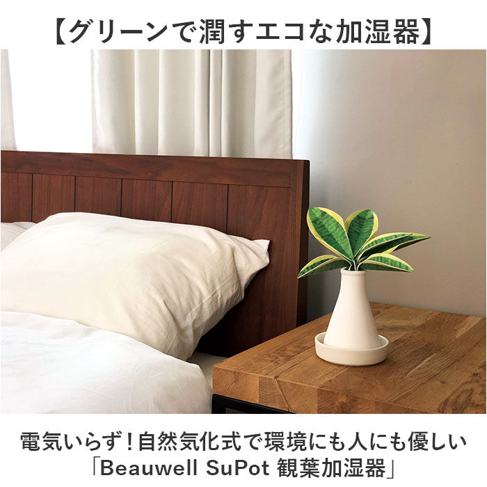 BACKYARD FAMILY「自然気化式 加湿器 かわいい 通販 卓上 気化式加湿器 小型 観葉植物 フェイクグリーン」|電化製品|