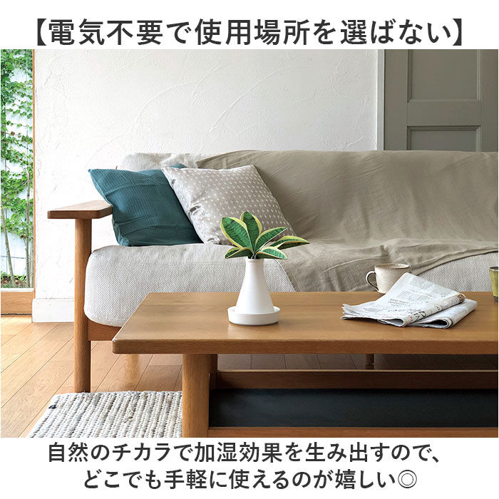 BACKYARD FAMILY「自然気化式 加湿器 かわいい 通販 卓上 気化式加湿器 小型 観葉植物 フェイクグリーン」|電化製品|