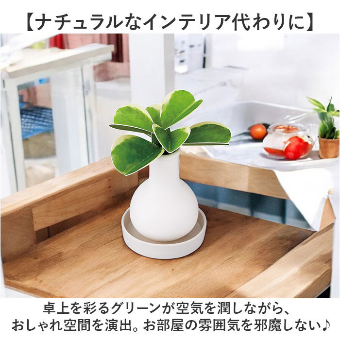 BACKYARD FAMILY「自然気化式 加湿器 かわいい 通販 卓上 気化式加湿器 小型 観葉植物 フェイクグリーン」|電化製品|