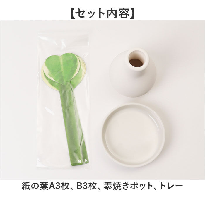 BACKYARD FAMILY「自然気化式 加湿器 かわいい 通販 卓上 気化式加湿器 小型 観葉植物 フェイクグリーン」|電化製品|