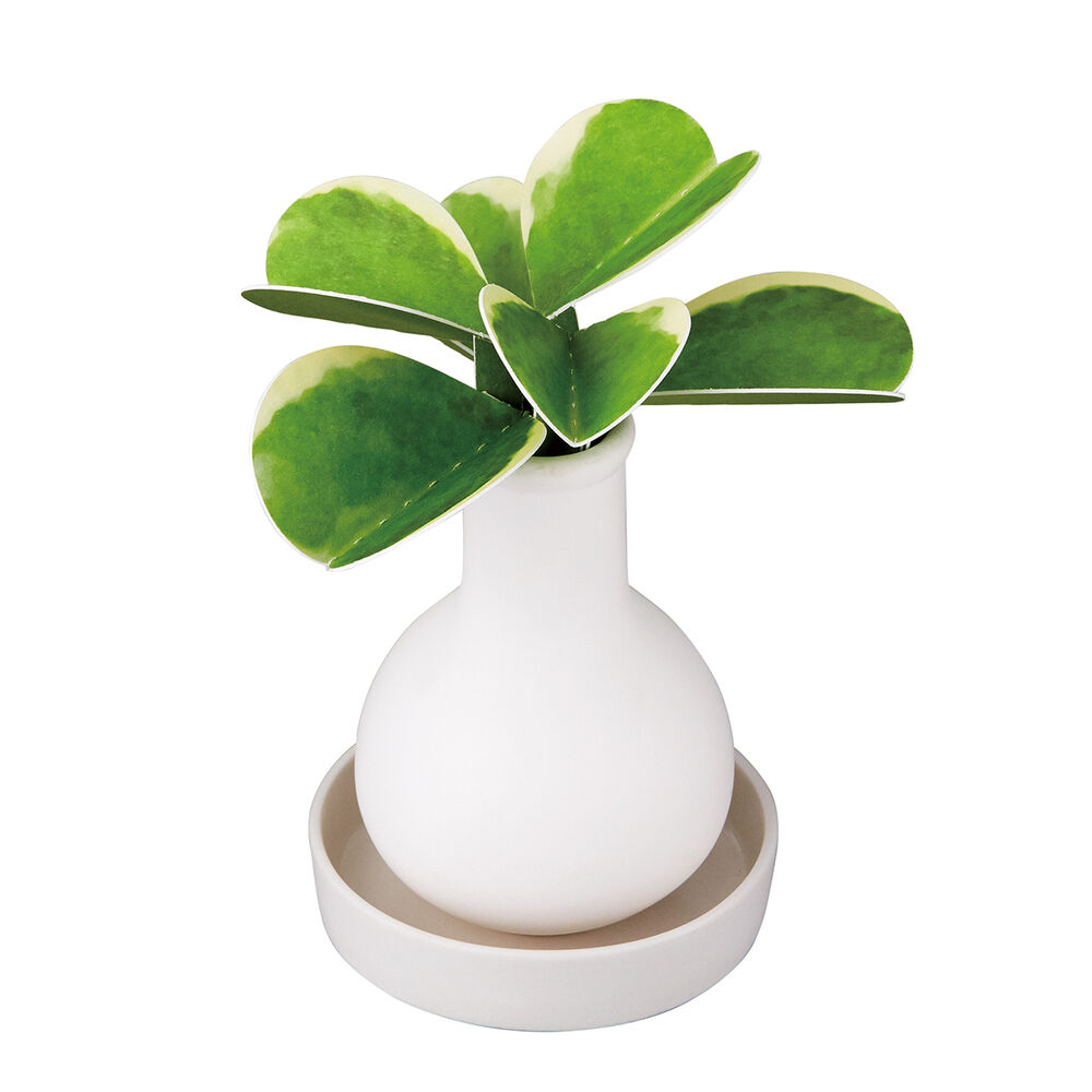 BACKYARD FAMILY「自然気化式 加湿器 かわいい 通販 卓上 気化式加湿器 小型 観葉植物 フェイクグリーン」|電化製品|その他2