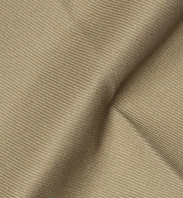 SHIPS any「【SHIPS any別注】Dickies:〈洗濯機可能〉874 T/C ツイル チノパンツ」|チノ|