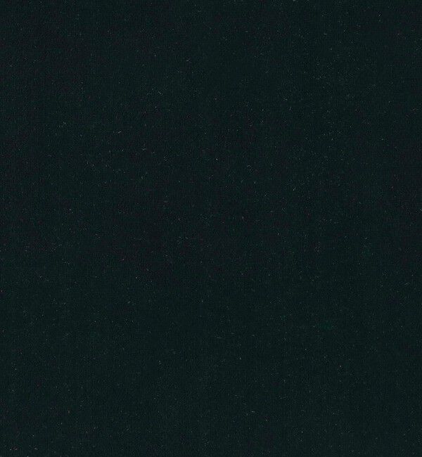 TOMORROWLAND BUYING WEAR「Simone Wild T-Shirt」|Tシャツ・カットソー|