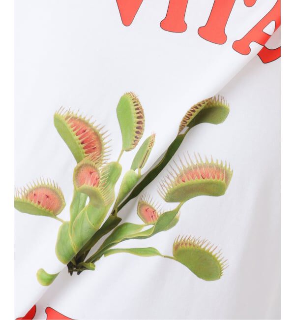 JOINT WORKS「OURSAALTY / アワーソルティ Vital green T-shirt」|Tシャツ・カットソー|